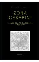 Zona Cesarini