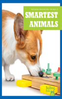Smartest Animals: (Record-Breaking Animals)