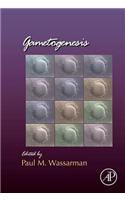 Gametogenesis