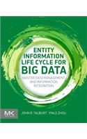 Entity Information Life Cycle for Big Data