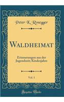 Waldheimat, Vol. 1: Erinnerungen aus der Jugendzeit; Kindesjahre (Classic Reprint)
