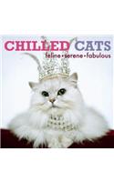 Chilled Cats