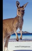 Sand Kangaroo