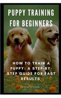 Puppy Training for Beginners