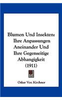 Blumen Und Insekten