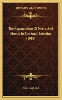 The Regeneration Of Nerve And Muscle In The Small Intestine (1910)