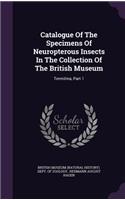 Catalogue of the Specimens of Neuropterous Insects in the Collection of the British Museum