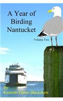 Year of Birding Nantucket: Volume Two