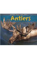 Antlers