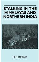 Stalking In The Himalayas And Northern India
