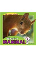 What's a Mammal?