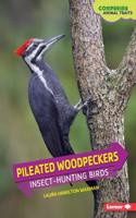 Pileated Woodpeckers: Insect-Hunting Birds: Insect-Hunting Birds