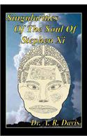 Singularities of the Soul of Stephen XI: (English)