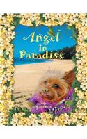 Angel in Paradise