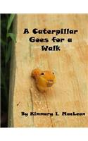 A Caterpillar Goes for A Walk