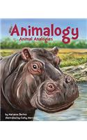 Animalogy: Animal Analogies