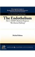 Endothelium, Part II
