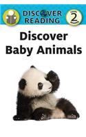 Discover Baby Animals