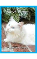 Sweetest Purrs, Spicy