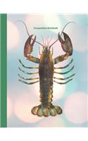 Composition Notebook: Large blank college ruled exercise book with vintage lobster art
