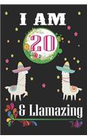 I Am 20 And Llamazing
