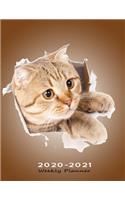 2020-2021 Weekly Planner: Gift for Cat Lovers - Two Years Organizer Notebook with To-Do List & Priorities - US Edition - Breaking Out