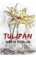 Tulipán