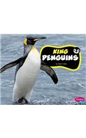 King Penguins