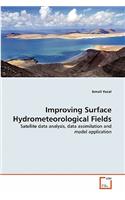 Improving Surface Hydrometeorological Fields