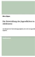 Die Entwicklung des Jugendlichen in der Adoleszenz: Am Beispiel der Entwicklungsaufgaben, die sich im Jugendalter ergeben(German)
