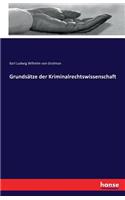 Grundsätze der Kriminalrechtswissenschaft