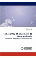 The Journey of a Molecule to Macromolecule