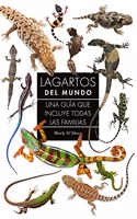 LAGARTOS DEL MUNDO
