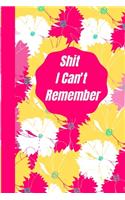 Shit I Can't Remember
