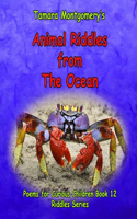 Animal Riddles from The Ocean