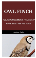Owl Finch