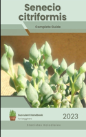 Senecio citriformis: Succulent Handbook: Complete Guide to Growing Succulent Plant