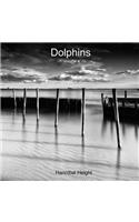 Dolphins - Volume 4