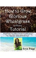 How to Grow Glorious Wheatgrass at Home Tutorial