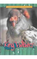 King Vultures