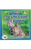 Full STEAM Ahead!: The Life Cycle of a Rabbit: (Full STEAM Ahead!)