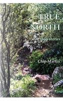 True North