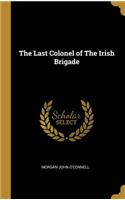 Last Colonel of The Irish Brigade