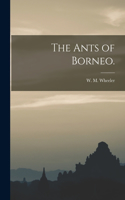 Ants of Borneo.