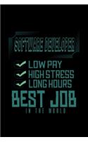 Software developer