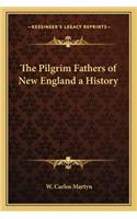 Pilgrim Fathers of New England a History