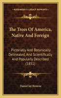 Trees Of America, Native And Foreign: Pictorially And Botanically Delineated, And Scientifically And Popularly Described (1851)(English)