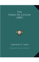 The Ferns Of Ceylon (1887)