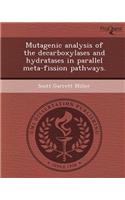 Mutagenic Analysis of the Decarboxylases and Hydratases in Parallel Meta-Fission Pathways