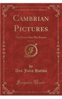Cambrian Pictures, Vol. 1 of 3: Or, Every One Has Errors (Classic Reprint)